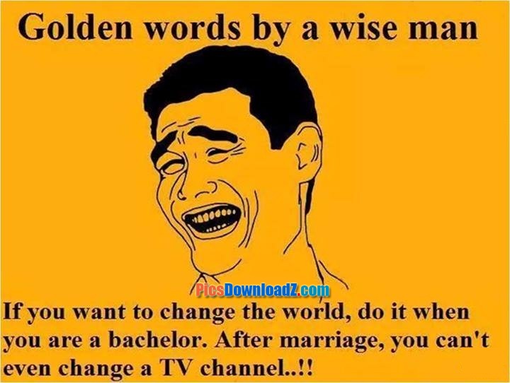 Golden words by a wise man – Funny wedding jokes | Adsbby
